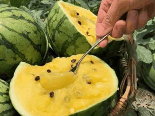 安徽夫妻对话吃瓜,吃瓜群众揭秘家庭琐事