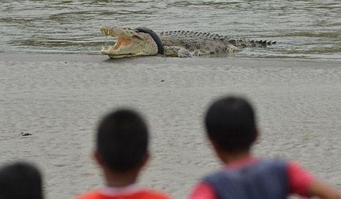 新余吃霸王瓜,吃霸王瓜，畅享夏日清凉盛宴