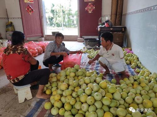 新余吃霸王瓜,吃霸王瓜，畅享夏日清凉盛宴