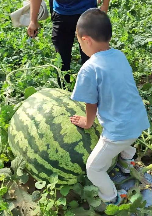 赛后吃瓜,揭秘赛场背后的精彩瞬间