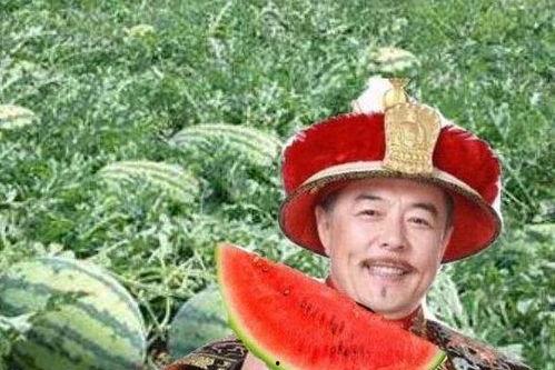 关于吃瓜的讨论,揭秘吃瓜群众的趣味与智慧