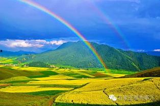 朝阳吃瓜天空花园,天空花园的夏日盛宴