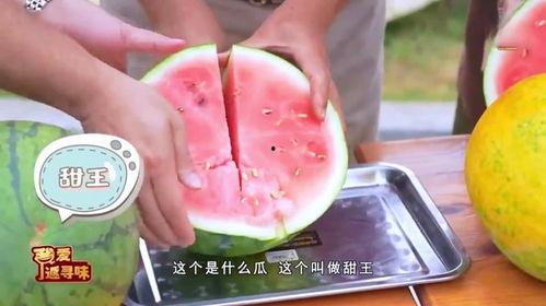 云浮市吃瓜,瓜果飘香，品味夏日清凉