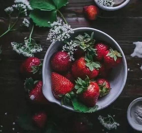 下雪天吃蜜瓜,下雪天里的蜜瓜奇遇记