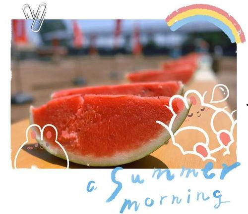 吃瓜闲聊现场,揭秘娱乐圈幕后故事