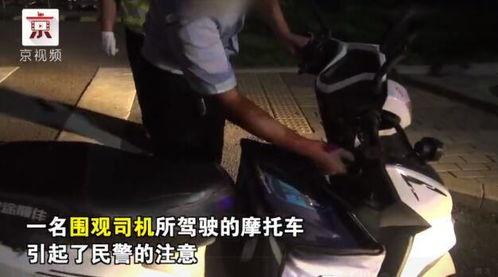 吃瓜群众是司机,揭秘瓜田里的驾驶生活