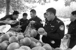 公安局吃瓜,揭秘背后真相与反思