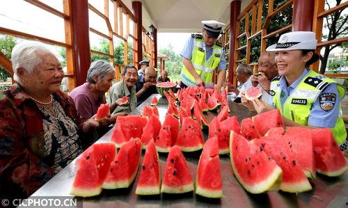 公安局吃瓜,揭秘背后真相与反思