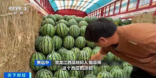 哈霍吃瓜,揭秘娱乐圈背后的那些事儿