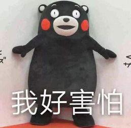 喜欢吃瓜吃个够,尽享清凉——畅吃瓜果，解暑又养生