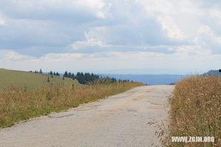 女人梦见摘瓜吃瓜,女人摘瓜吃瓜的神秘寓意解析
