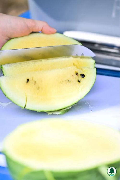 本华吃瓜,揭秘娱乐圈幕后真相