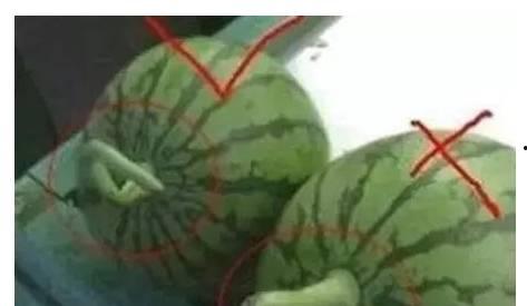 吃瓜网没了吗,揭秘网络舆论风向标，探寻其兴衰之谜