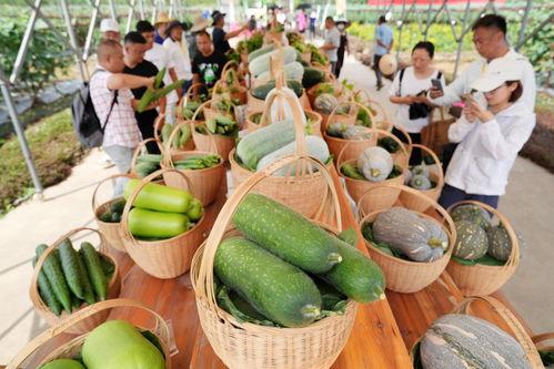 广州亭岗吃瓜,夏日炎炎，吃瓜群众的欢乐聚集地