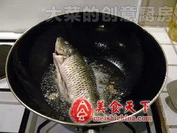 泡菜鱼吃瓜,一场味蕾与娱乐的盛宴