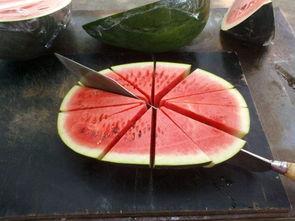 二瓜吃瓜精,揭秘娱乐圈背后的那些事儿