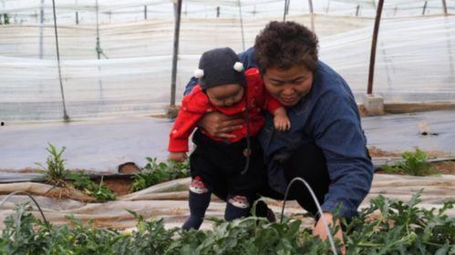 吃瓜群众在门外,揭秘娱乐圈幕后风云
