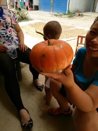 奈布吃瓜,揭秘娱乐圈背后的那些事儿