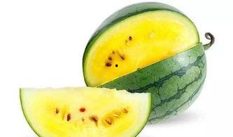 带你吃瓜化学炼金,从带你吃瓜到神秘炼金术的奇妙旅程