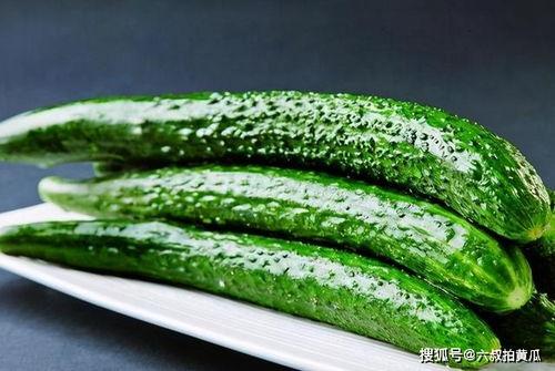 带你吃瓜化学炼金,从带你吃瓜到神秘炼金术的奇妙旅程