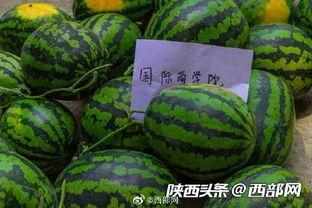 现在有什么吃瓜群,吃瓜群里的热点事件大盘点