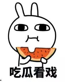 正经吃瓜铭铭,网络红人的崛起与影响力