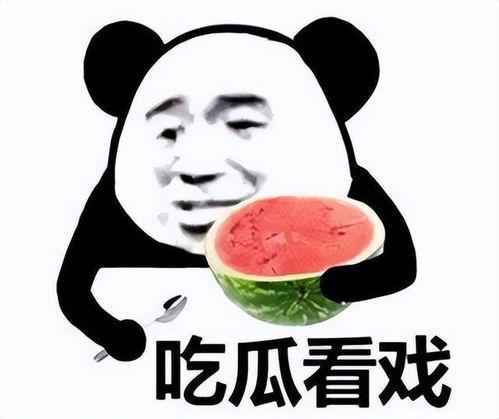 正经吃瓜铭铭,网络红人的崛起与影响力