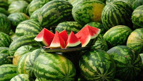 乾隆吃瓜相关传说,一段宫廷吃瓜传奇