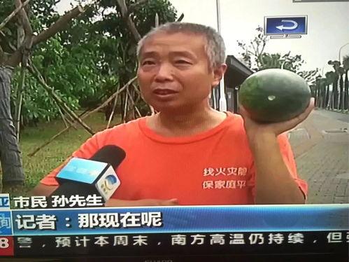 余杭吃瓜群众事件,一场网络舆论的风暴与反思