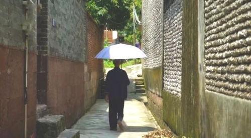 余杭吃瓜群众事件,一场网络舆论的风暴与反思