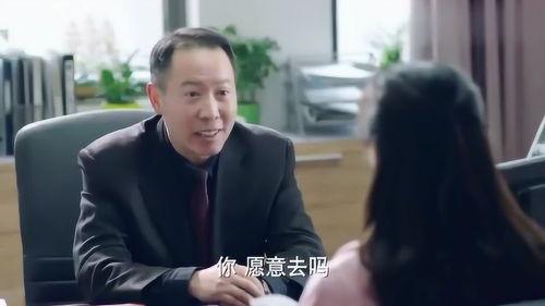 校长的欲望,共创教育辉煌未来