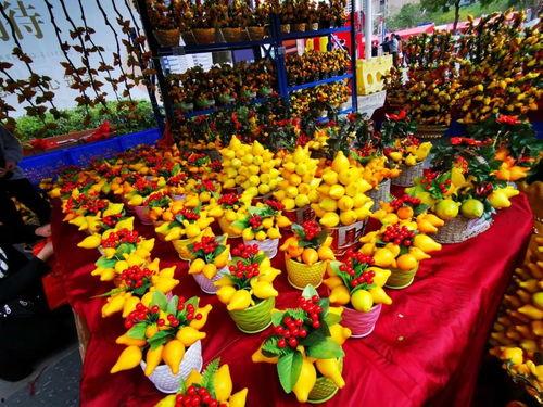 迎春舞会吃瓜,一场别开生面的美食盛宴